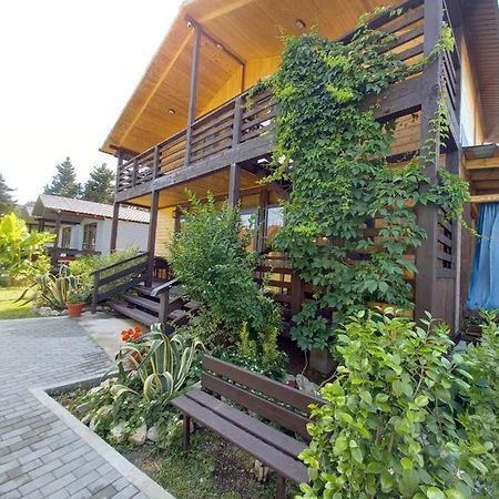 Hotel Гостевой Дом Фазенда Pizunda Exterior foto
